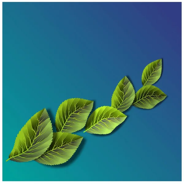 Realistic green leaves for decoration design. Vector decorative object. Botanical background. Interior decoration. Realistic vector. — стоковый вектор