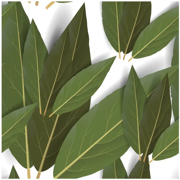 Bay leaf in abstracte stijl. Mooi patroon met laurierblad. Vector naadloos patroon. — Stockvector