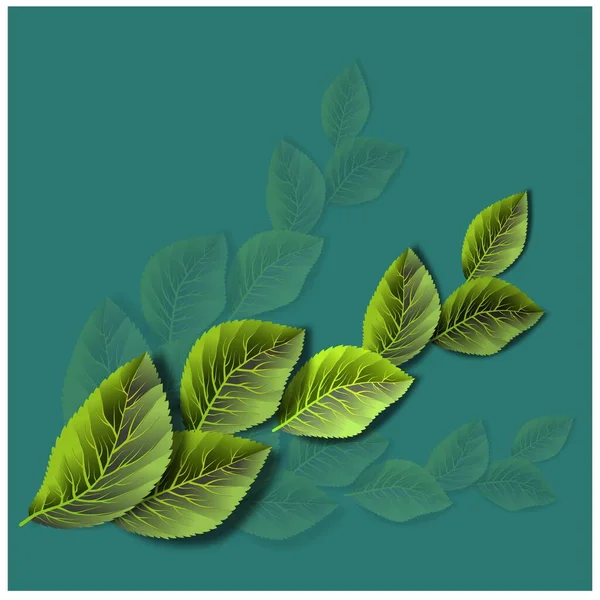 Realistic green leaves for decoration design. Vector decorative object. Botanical background. Interior decoration. Realistic vector. — стоковый вектор