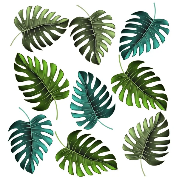 Monstera leaf. Seamless floral pattern. Fabric pattern. Floral wallpaper illustration. — Stockvektor