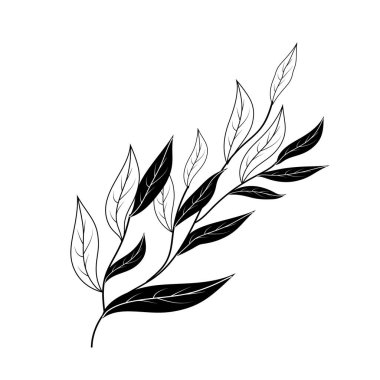 Beyaz arka planda siyah bir dal. Çiçek arkaplan. Yaz bahçesi dokusu. Vektör illüstrasyonu