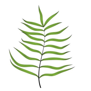 Çiçek arkaplan. Çiçekli tropikal orman. Vektör illüstrasyonu