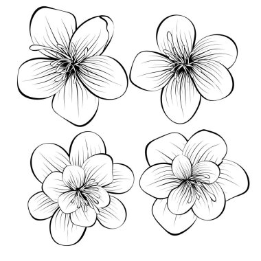 Bahar dekorasyonu arka planı. İzole vektör. Çiçek arkaplan. Vektör illüstrasyonu