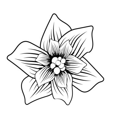 Ağ tasarımı için soyut çiçekler. Dekorasyon için beyaz arka planda siyah çiçekli klasik kapak tasarımı. Vektör illüstrasyonu