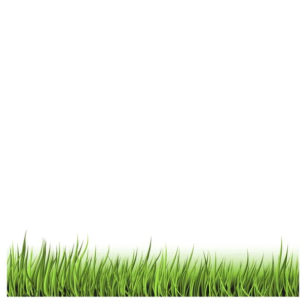 Trendig Abstrakt Illustration Med Grönt Gräs Vackert Grönt Gräs Bra — Stock vektor