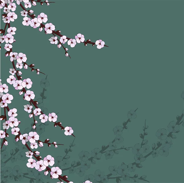 Illustration der japanischen Kirschblüte auf rosa Hintergrund — Stockvektor