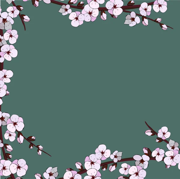 Flor de cerezo. Flores Sakura. Fondo floral . — Vector de stock