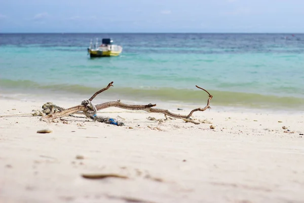 Ramita Seca Playa — Foto de Stock