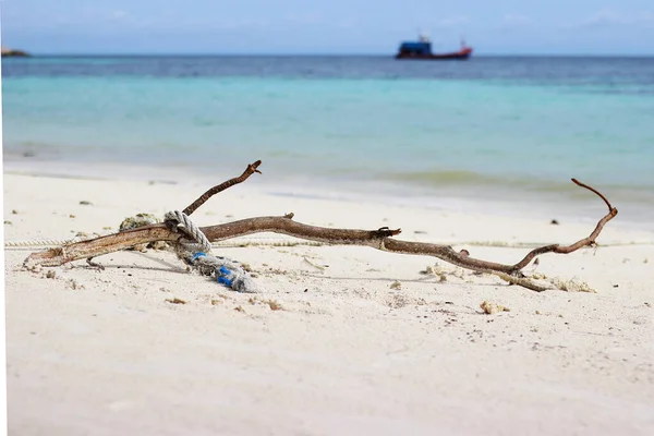 Суха Гілка Пляжі — стокове фото