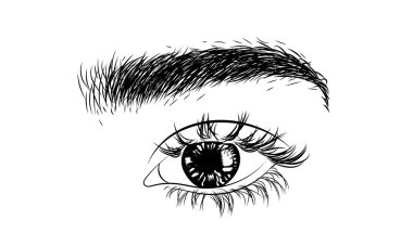 Lüks makyajlı ve doğal kaşlı gözün gösterişli bir tasviri. Kartvizitler, şablonlar, web, kuaför afişleri ve broşürler için elle çizilmiş vektör fikri. Mikro patinaj ziyaret kartı