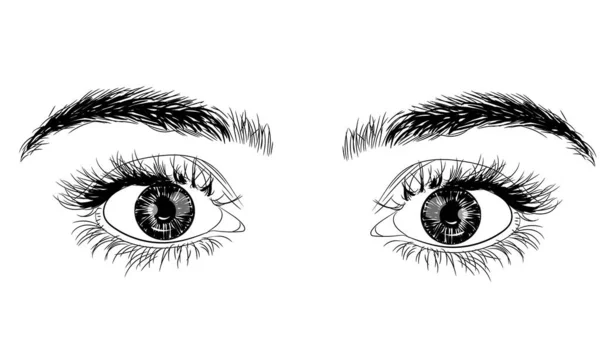 Handritat Kvinnligt Sexigt Lyxigt Öga Med Perfekt Formade Ögonbryn Och — Stock vektor