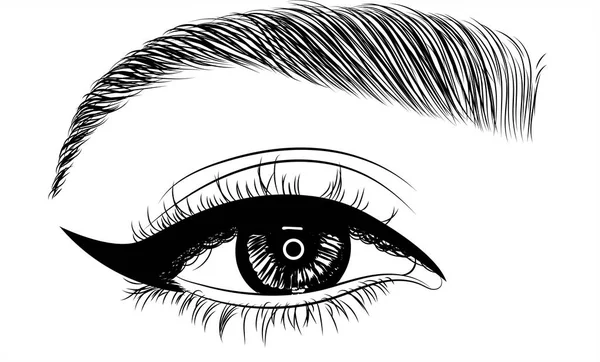 Hand Drawn Female Sexy Luxurious Eye Perfectly Shaped Eyebrows Full — Stock Vector