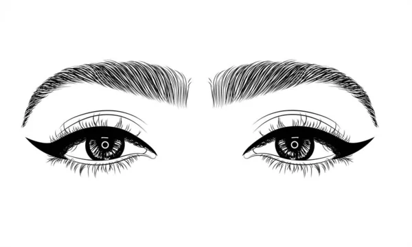 Amazing Hand Drew Female Sexy Luxurious Eye Perfectly Shaped Eyebrows — Stock Vector