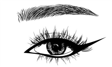 Uzun kirpikli gözün moda çizimi. El çizimi vektör fikri Doğal kaşlar ve modern makyaj