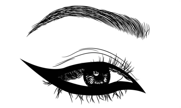 Hand Drawn Female Sexy Luxurious Eye Perfectly Shaped Eyebrows Full — Stock Vector