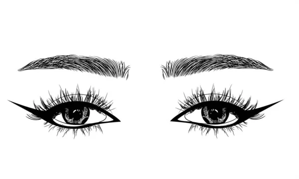 Hand Drawn Feminine Sexy Makeup Look Perfectly Shaped Eyebrows Extra — Stock Vector