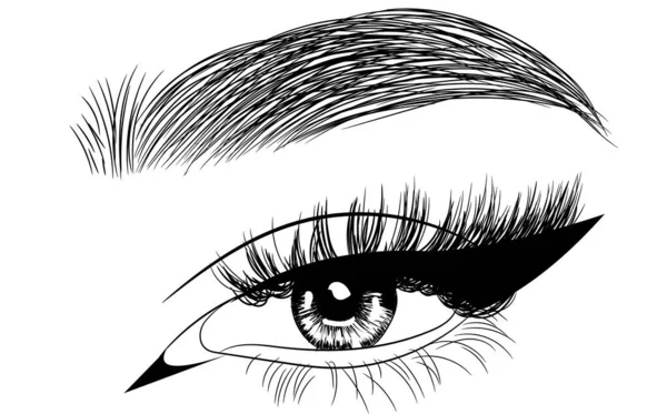 Hand Drawn Female Sexy Luxurious Eye Perfectly Shaped Eyebrows Full — Stock Vector