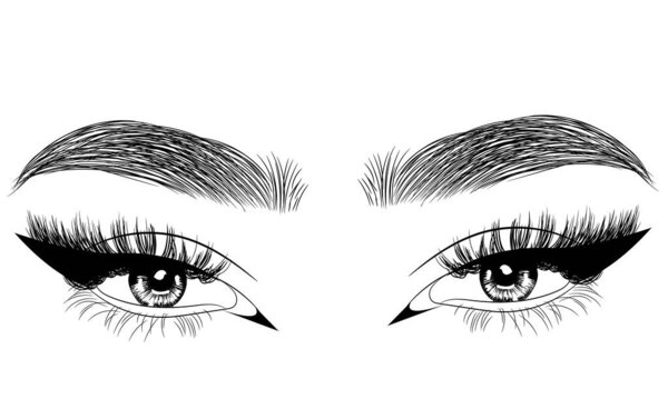 Ручной нарисованный женский сексуальный роскошный глаз с идеально сформированными бровями и полными ресницами. Идея для визитки, векторная типография. Перфектный взгляд