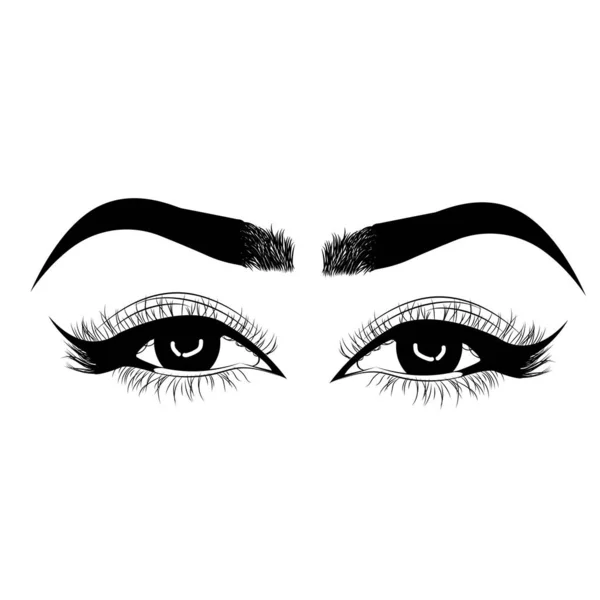 Sleek Fashion Illustration Eye Luxe Makeup Natural Eyebrow Hand Drawn — Stock Vector