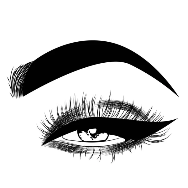 Lady Stylish Opened Eye Brows Full Lashes Beautiful Sexy Women — Stock Vector