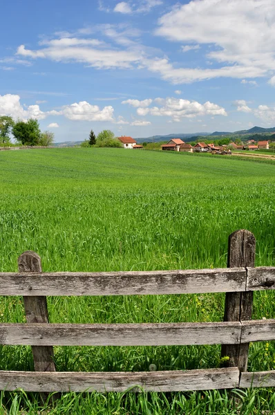 Platteland landschap met weelderige groene gras en houten hek — Stockfoto