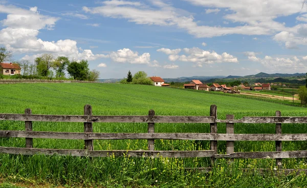 Platteland landschap met weelderige groene gras en houten hek Rechtenvrije Stockfoto's