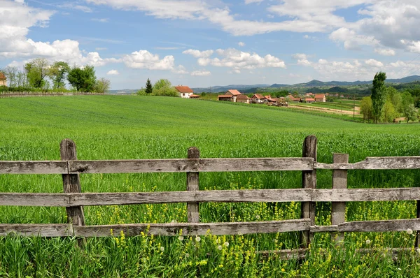 Platteland landschap met weelderige groene gras en houten hek Stockfoto