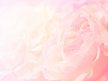 Çiçek arka plan 18