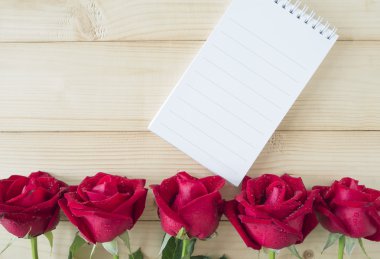 Kırmızı gül ve defter sayfa 6