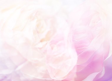 Çiçek arka plan 20