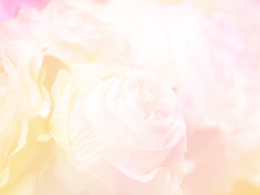 Çiçek arka plan 25