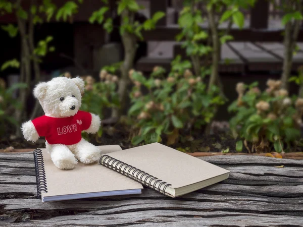 Teddy Beer en laptop in de tuin 1 — Stockfoto