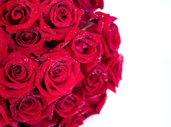 Bouquet rose rosse fiore su sfondo isolato 1 — Foto Stock