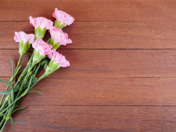 Flor de clavel rosa dulce 2 — Foto de Stock