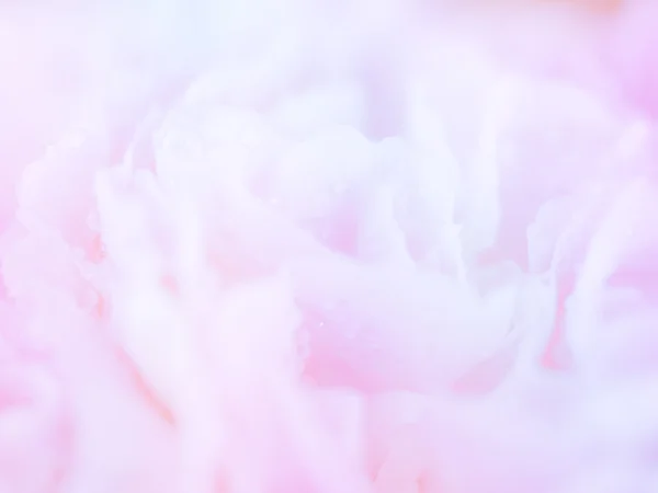 Барвистий квітковий фон 1 — стокове фото
