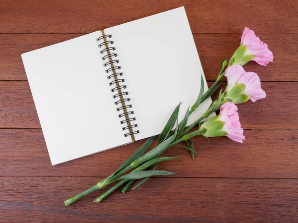 Пусті-ноутбук і квітка гвоздики 1 — стокове фото