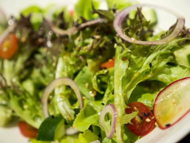 Mix sebze salatası 1