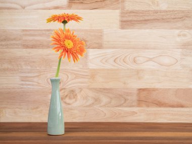 Gemi 1 turuncu Gerbera çiçek