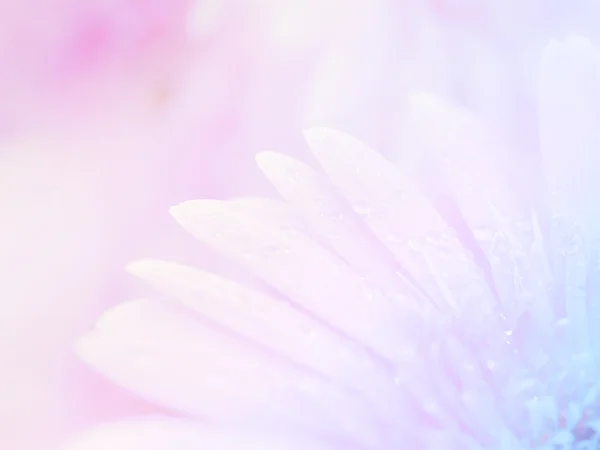 Flower background 42 — Stock Photo, Image