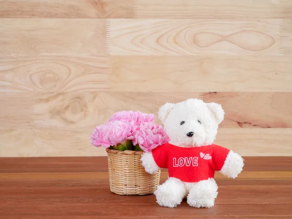 Carnation bloem en teddy beer 1 — Stockfoto