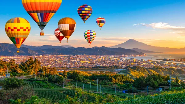 Tájkép Fuji Hegyről Friss Zöld Teamező Színes Hőlégballonnal Nihondaira Ban Stock Fotó