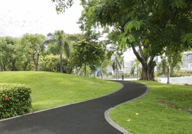 1 Park yolu