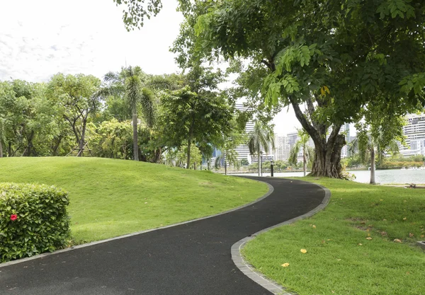 1 Park yolu