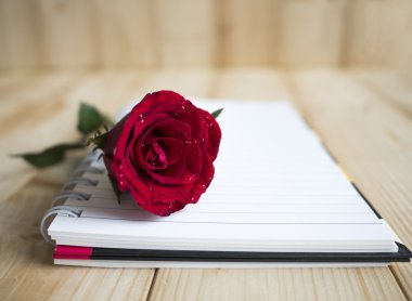 Kırmızı gül ve defter sayfa 1