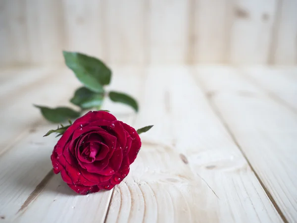 Rosa roja 2 — Foto de Stock