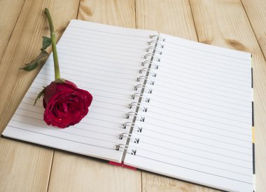 Kırmızı gül ve defter sayfa 4