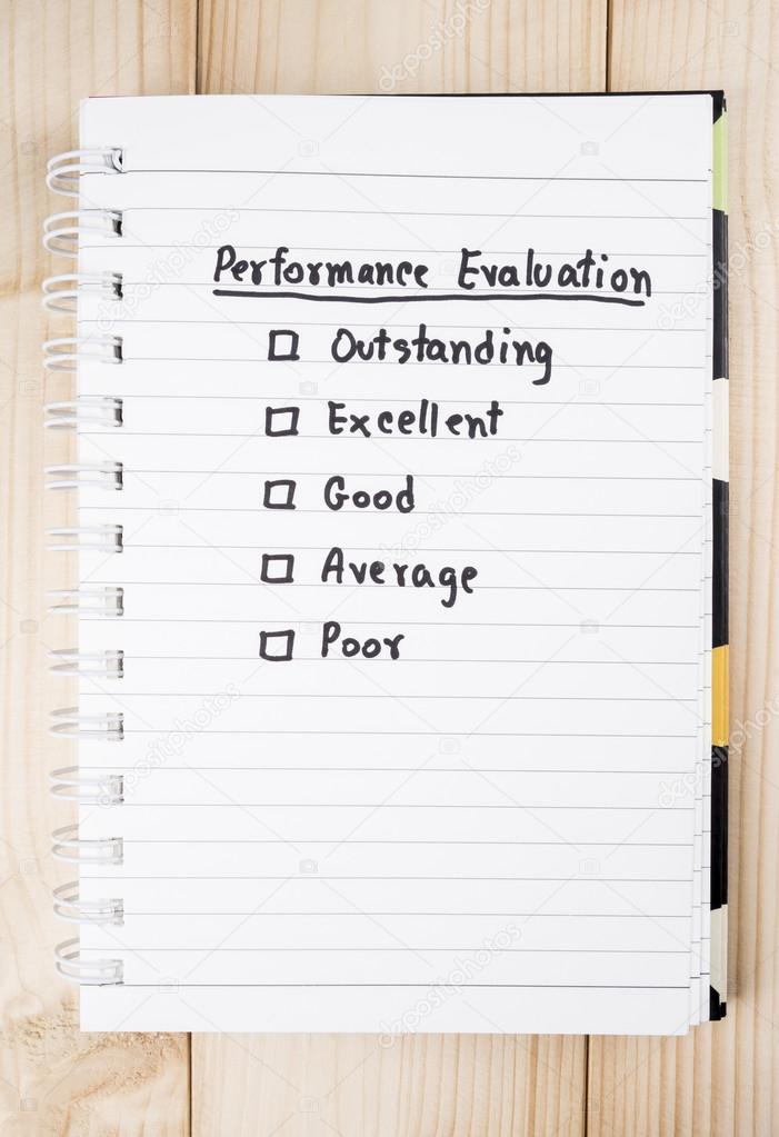 Performance Evaluation check box 4