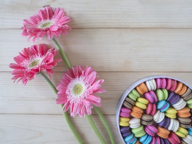 Renkli macarons 11