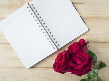 Kırmızı gül ve defter sayfa 5