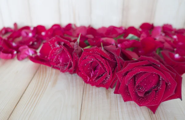 Rosa roja 81 — Foto de Stock